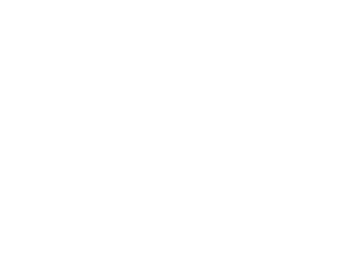 SpeedWyze